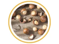 Ξηροί καρποί Macadamia