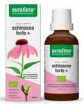 Echinacea forte (Echinacea purpurea) σταγόνες συμπλήρωμα διατροφής bio 50 ml