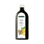 Σιρόπι τζίντζερ 250 ml