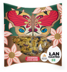 Μπισκότο δημητριακών κρανοσοκολατένιο Motyl ΒΙΟ 40 g – Irenki