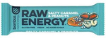 Μπάρα RAW ENERGY με αλατισμένη καραμέλα - φυστίκι χωρίς γλουτένη 50g