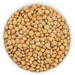 Καφέ φακές BIO (ακατέργαστες) (25 kg) 6