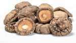 Shiitake (αποξηραμένα μανιτάρια) BIO (πρώτη ύλη) (10 kg) 4