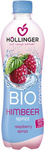 Αναψυκτικό βατόμουρο bio 500 ml - Hollinger