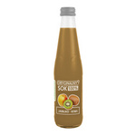 Χυμός μήλου και ακτινιδίου 100% 330 ml