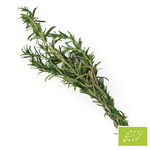 Φρέσκο δεντρολίβανο bio (περίπου 50 g) - BIO